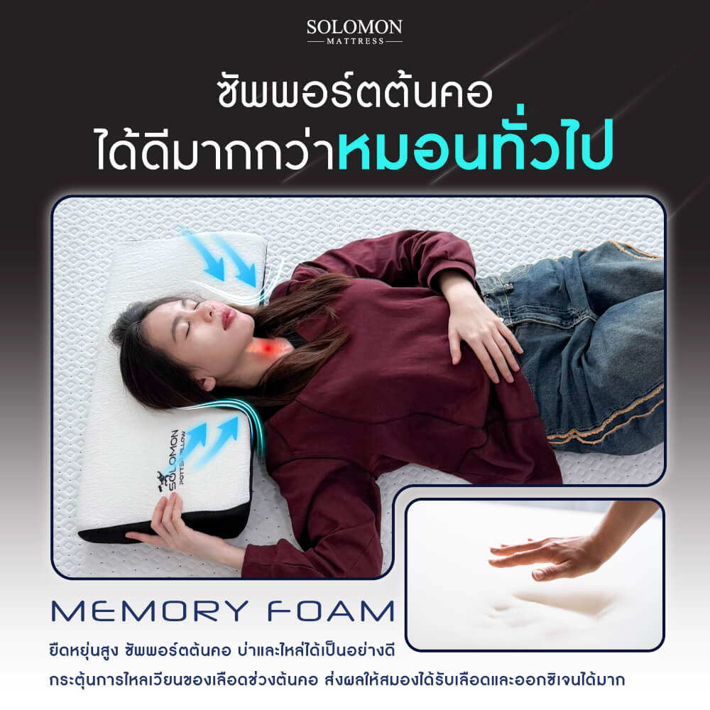 หมอนเมมโมรี่โฟม SOLOMON รุ่น POTTER PILLOW